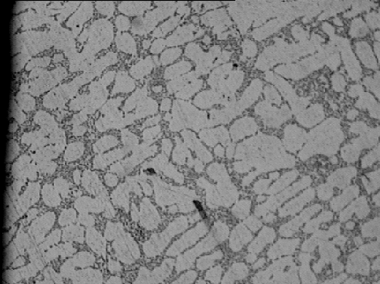 1577929788886091.bmp Microestructura 82169-3.bmp